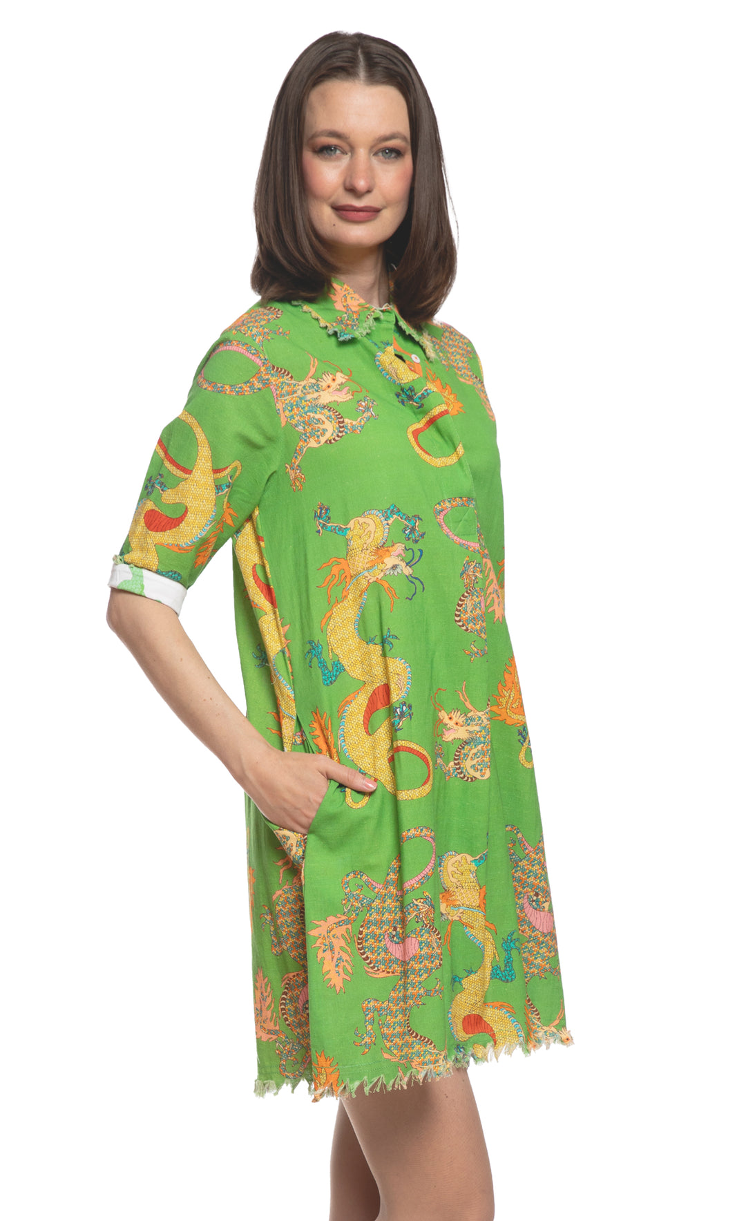 Chatham Dress Gekko Green Dragon Print XS