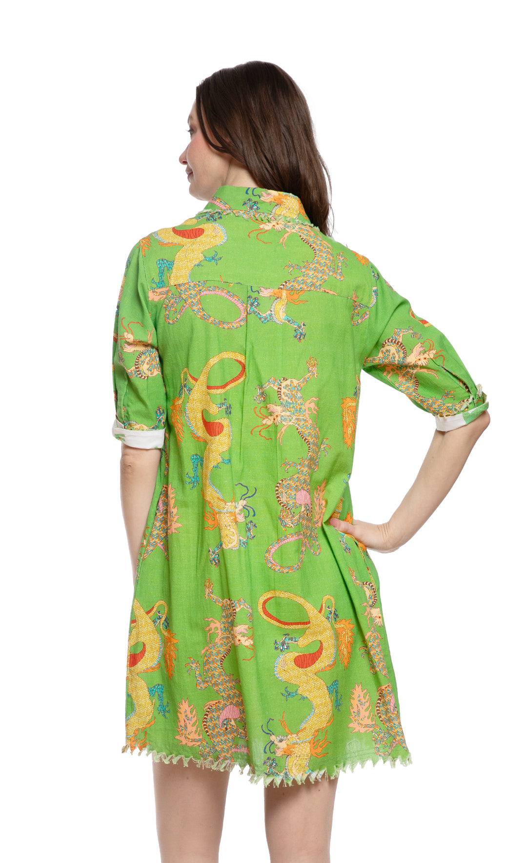 Chatham Dress Gekko Green Dragon Print XS