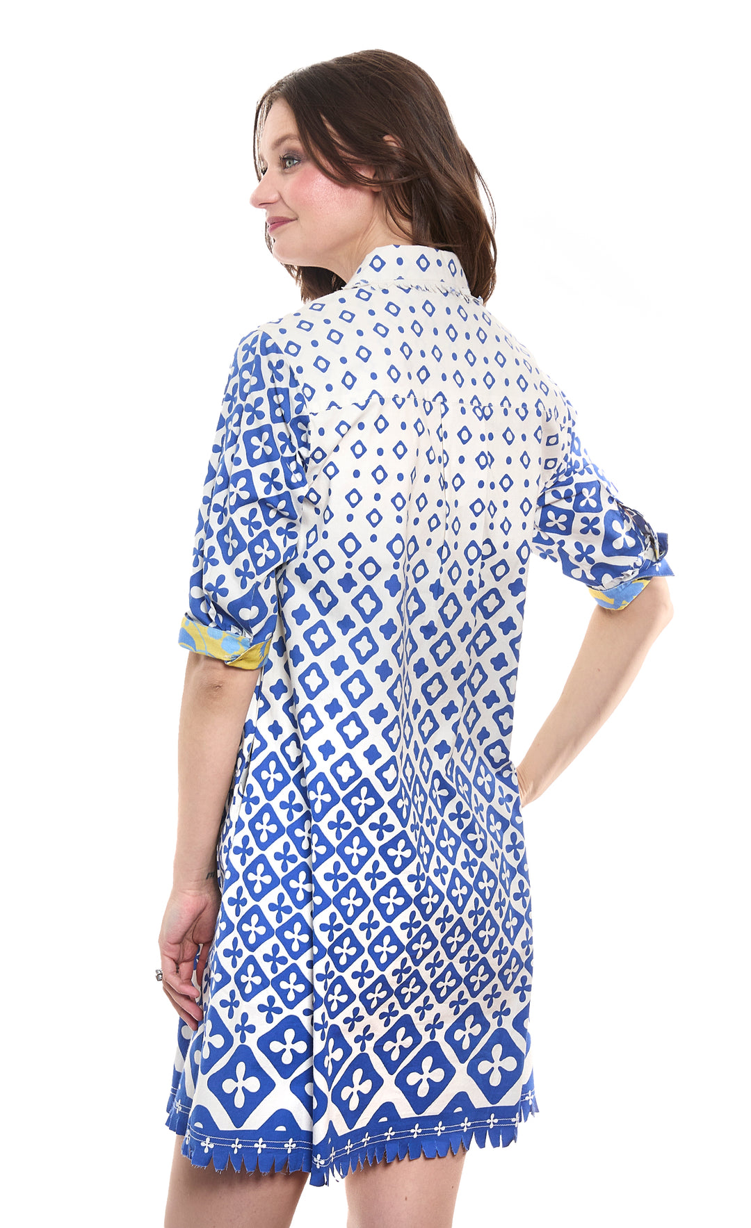 Chatham Dress French Blue and White Engineered Print Stretch Cotton