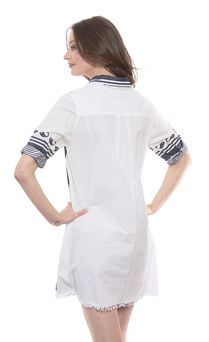 Chatham Whales Print