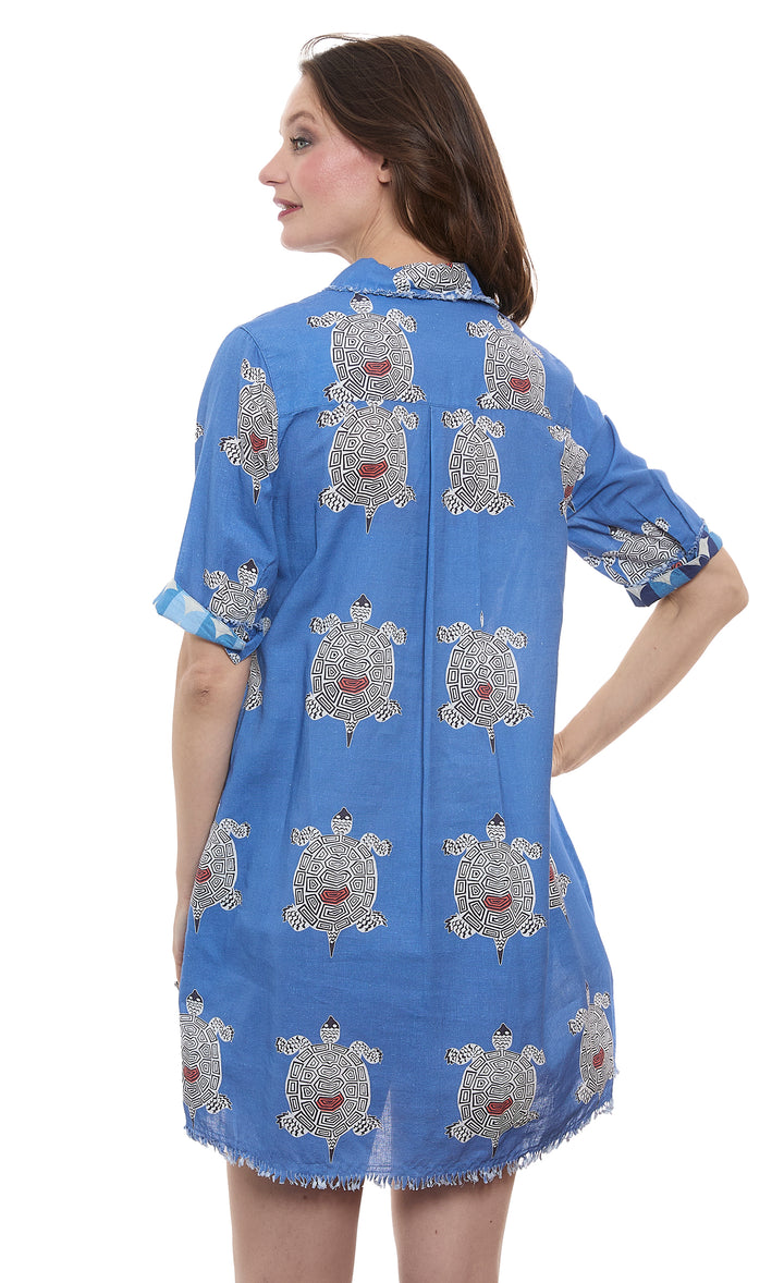 Chatham Turtles Print