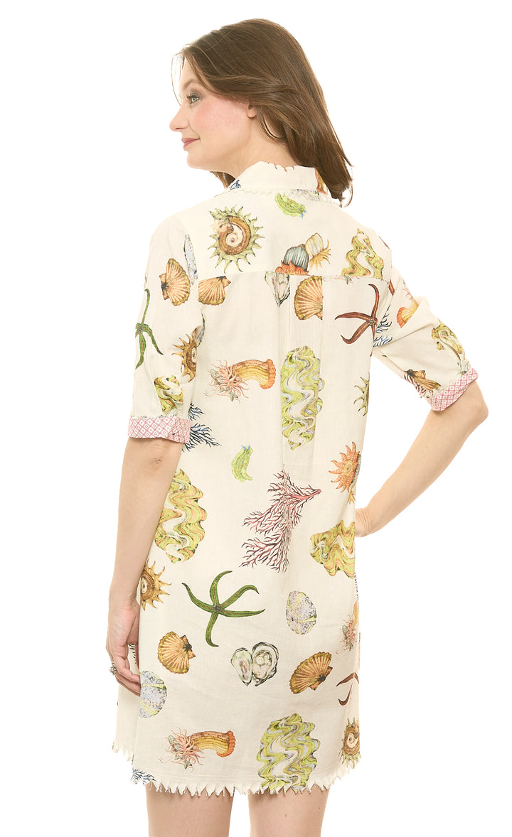 Chatham Dress Ivory Seashell Print