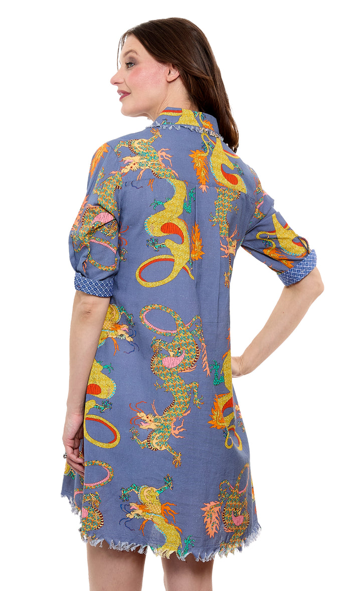 Chatham Dress Navy Dragons Print