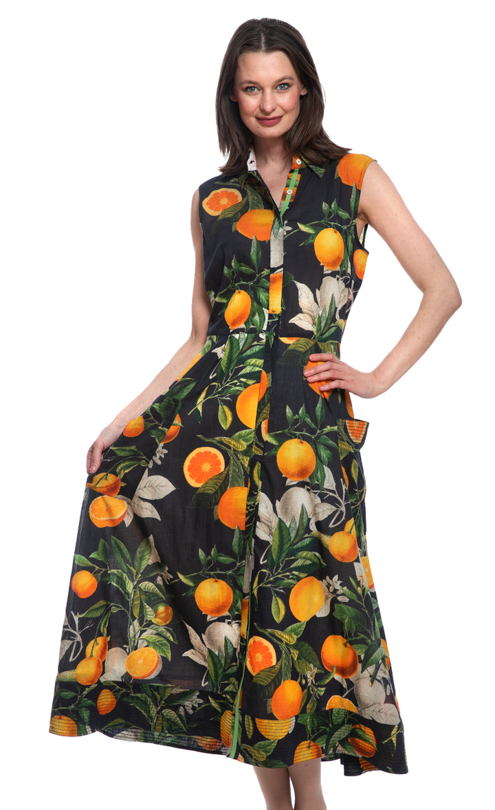 Sea Island Sleeveless Button Front Dress