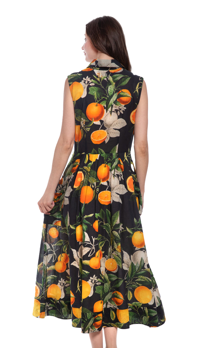 Sea Island Sleeveless Button Front Dress